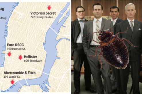 Left: A map of the city's bed bug infestations, courtesy WSJ. Right: Artist representation of the bed bug infestation at a city ad agency.